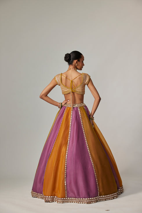 Mustard Multicolor Linear Lehenga With Cap Sleeve Blouse
